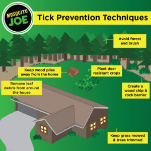 tick prevention guide