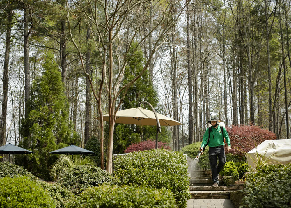 Mosquito Joe service professional treating yard for outdoor pests. 